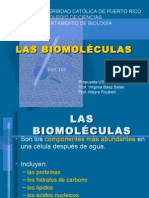 Las Biomoléculas