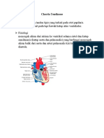 Chorda Tendineae