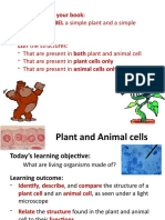 Lesson 1 Plant and Animal Cells