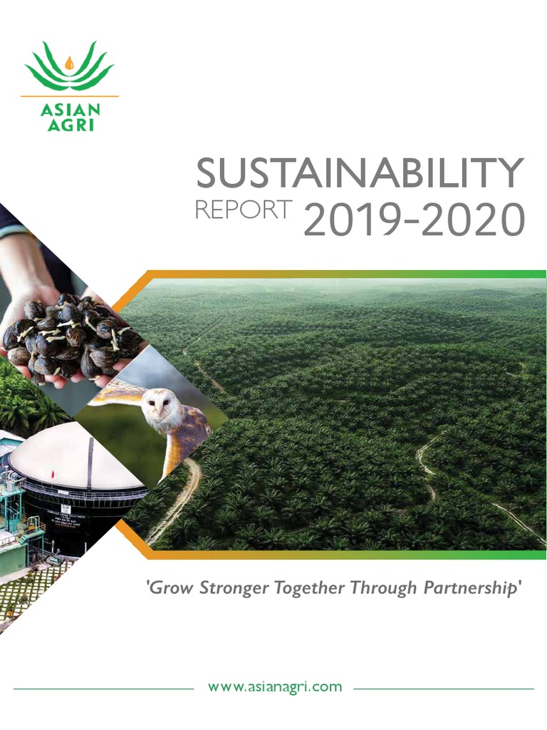 AA Sustainability Report 2019 2020 | PDF | Sustainability | Economies