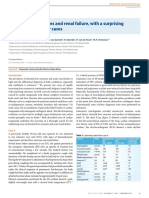 Elevated Liver Enzymes and Renal Failure, With A Surprising Outcome. Two Similar Cases