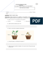 Guìa Las plantas 3º