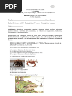 Prueba II 4º BASICO