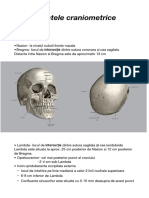 Punctele-craniometrice