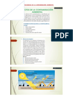 Consecuencias de La Contaminación Ambiental