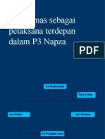 P3 Napza
