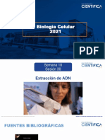 BiologÃ A Celular-ExtracciÃ N de ADN-10-16