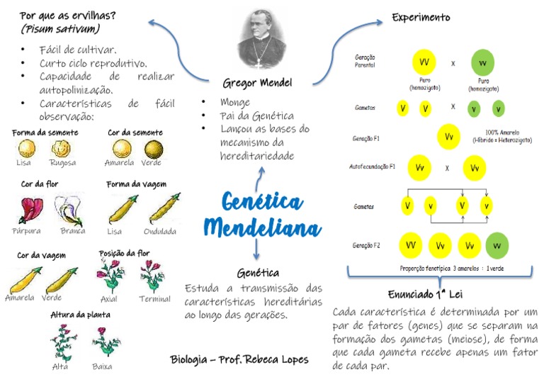 Por que as ervilhas? Experimento de Gregor Mendel | PDF