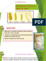 Determinación de Gluten en La Harina Trigo