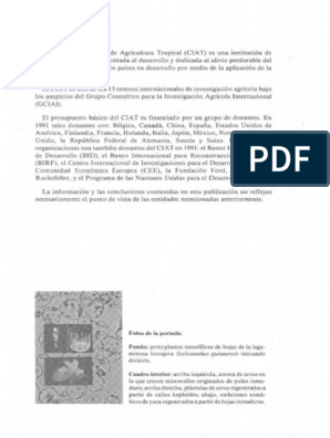 Roca William - Cultivo de Tejidos en La Agricultura (2007) | PDF 