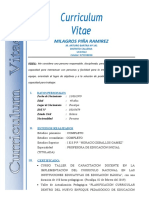 Curriculum-Vitae Milagros Piña Ramirez