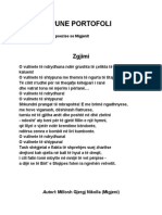 Pune Portofoli Letersi Analize e Poezive