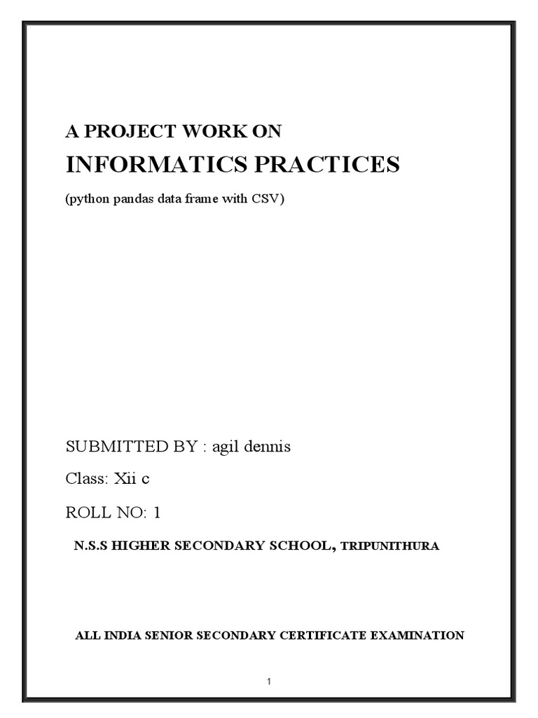 Informatics Practices: A Project Work On | PDF | Python (Programming ...