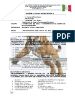 Informe 326-2021-Sgoat