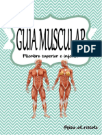 GuiaMuscular MSI