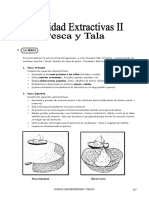 Guía 5 - Actividades Extractivas II
