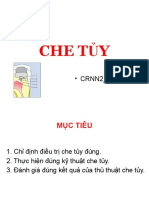 Chety : - Crnn2 - Rhm4