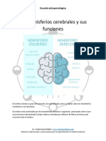 Hemisferios Cerebrales