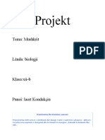 Projekt