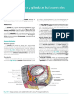 Latarjet - Ruiz Liard Anatomia Humana 5a Edicion T2