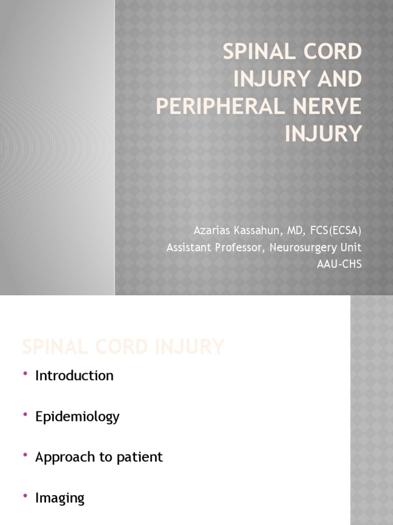 Spinal and Peripheral Nerve Injury Overview | PDF | Spinal Cord Injury ...