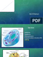 SEJTMAG