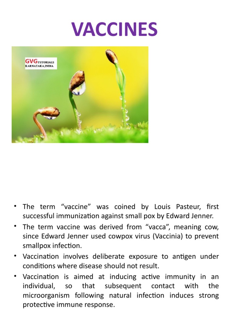 History and Strategies of Vaccines | PDF | Vaccines | Immune System