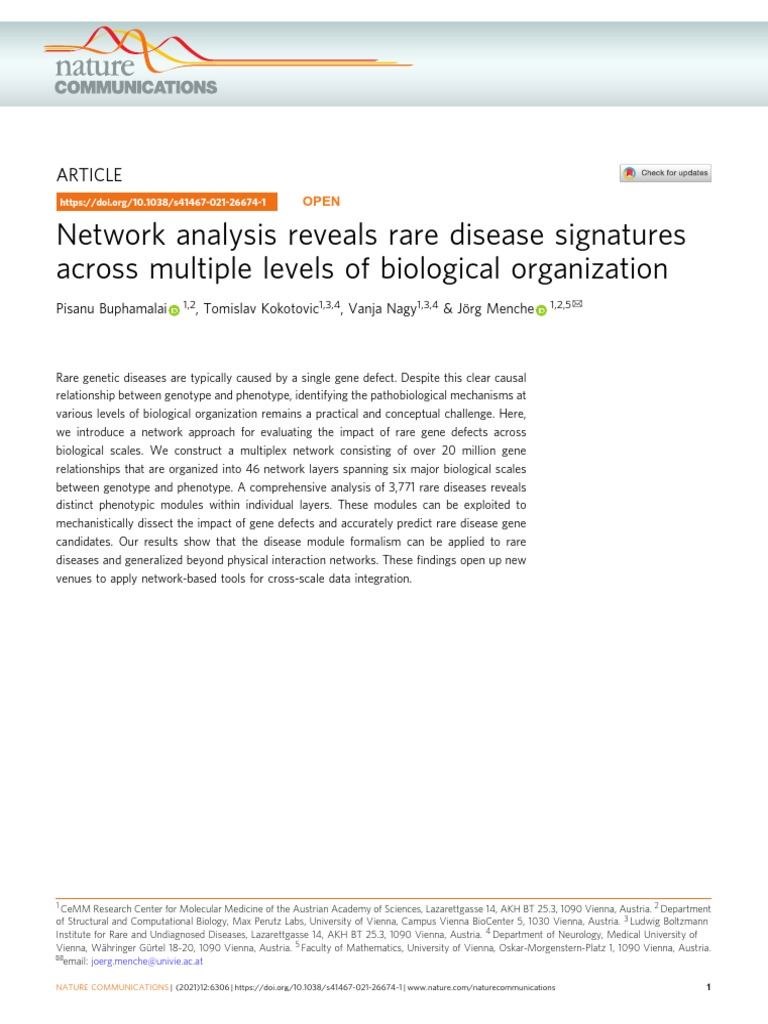 Network Analysis Reveals Rare Disease Signatures Across Multiple Levels
