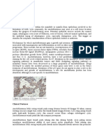 Pathogenesis: Ameloblastoma