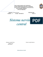 11 Sistema Central (Ilustraciones) Corte IV