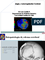 flujo cerebral_castillo