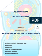 Biologia Celular