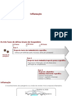 Inflamacao e Celulas Citotoxicas Inatas