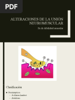 1- Debilidad Muscular