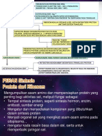 BIOLOGI SEL - Materi8.BIO Sel Ke-10 RIBOSOM