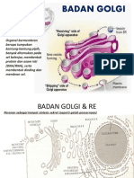 BIOLOGI SEL - Materi10.BIO Sel Ke-11 Badan Golgi