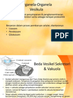 BIOLOGI SEL - Materi11.BIO Sel Ke-12 Organela-Organela Vesikula