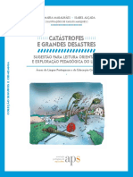 Catástrofes-E-Grandes-Desastres_Ficha