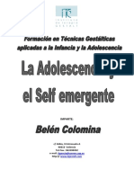 357794328 Adolescencia y Self Emergente