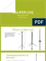 Caliper Log