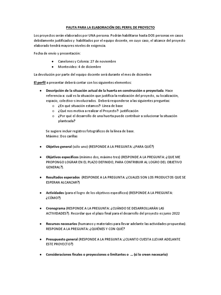 Pauta para Elaboracion Del Perfil de Proyecto | PDF