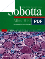 (U. Welsch) Sobotta Atlas Histologie
