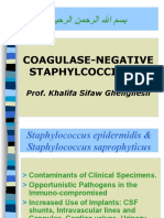 Lecture 2 Coagulase-Negative Staphylococci