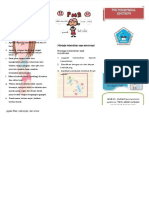 PDF Leaflet Pms