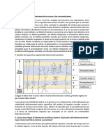 Cuadernillo 11