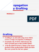 Propagation by Grafting