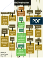 Mapa Conceptual Neuropsicología