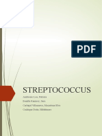 Streptococcus