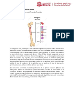 Resumen de Anemia Hemolítica No Inmune