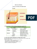 Biology-Chapter 32